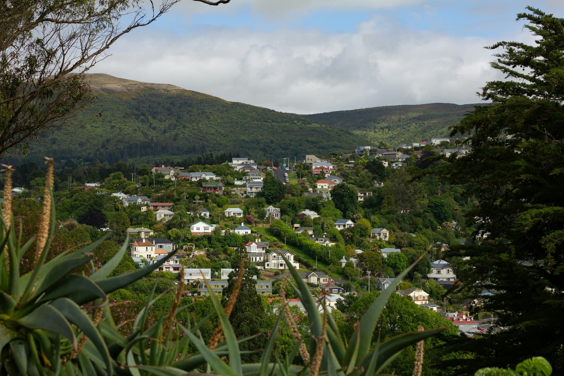Auckland, New Zealand